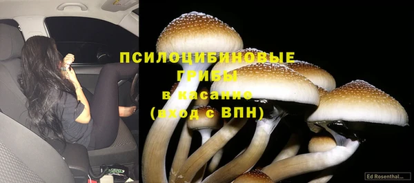 марки lsd Козловка