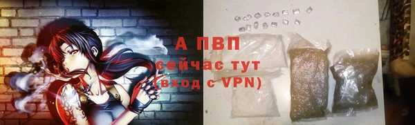 PSILOCYBIN Кодинск