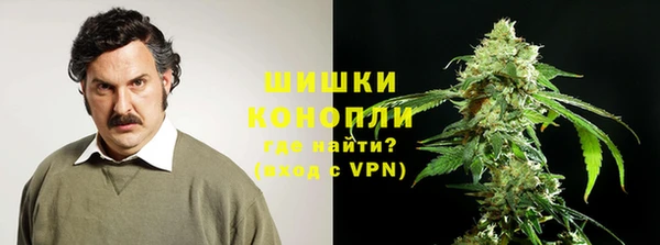 PSILOCYBIN Кодинск