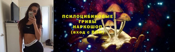 марки lsd Козловка