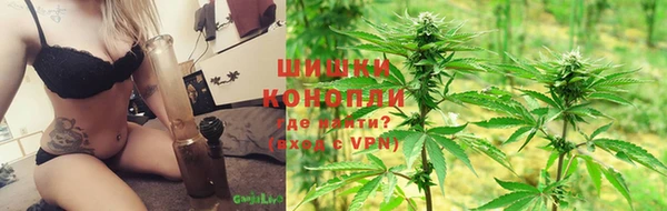 PSILOCYBIN Кодинск