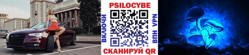 Галлюциногенные грибы Psilocybe  Купить  Багратионовск 